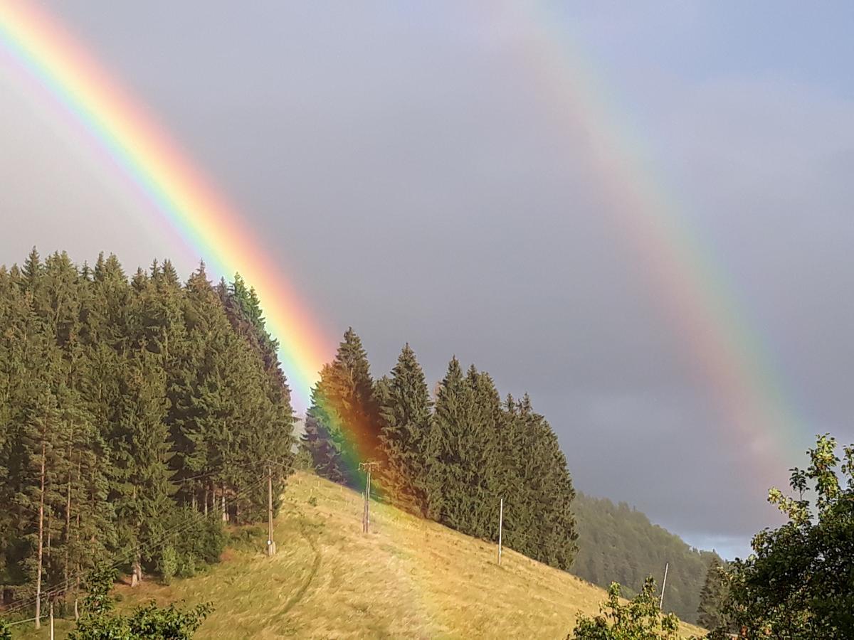 Apartmany Smrecie Bukovina  Buitenkant foto